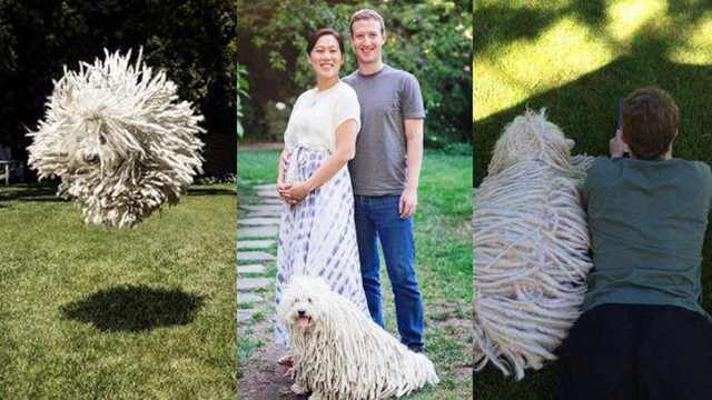 圖片默認標題 圖片默認標題