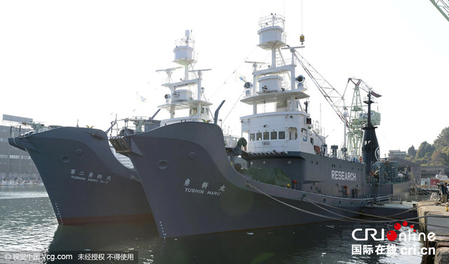 日本捕鲸船队出发前往南极海域