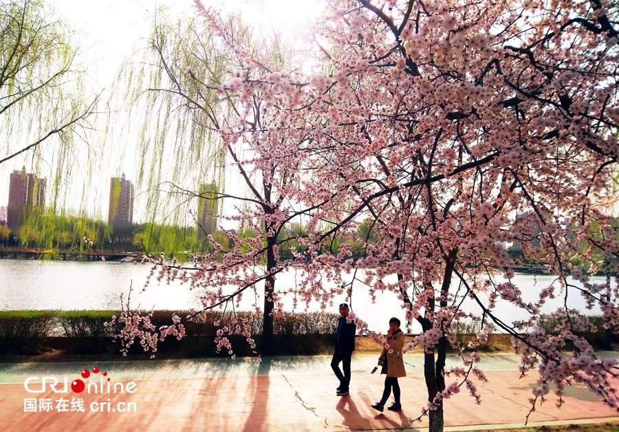 04【吉林】【原創】【供稿】【CRI看吉林（標題）】【圖説吉林】【白山松水（大圖）】【關東黑土（長春）】【移動版（圖）】長春南溪濕地公園桃花綻放美如畫（組圖）