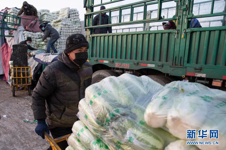 黑龍江綏化:果蔬供應充足穩定