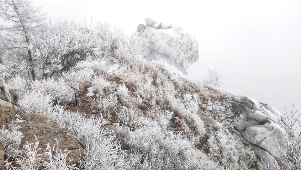 臘八送祝福，嶗山巨峰迎“羽毛雪”