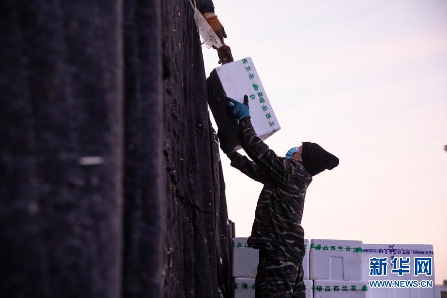 黑龍江綏化:果蔬供應充足穩定