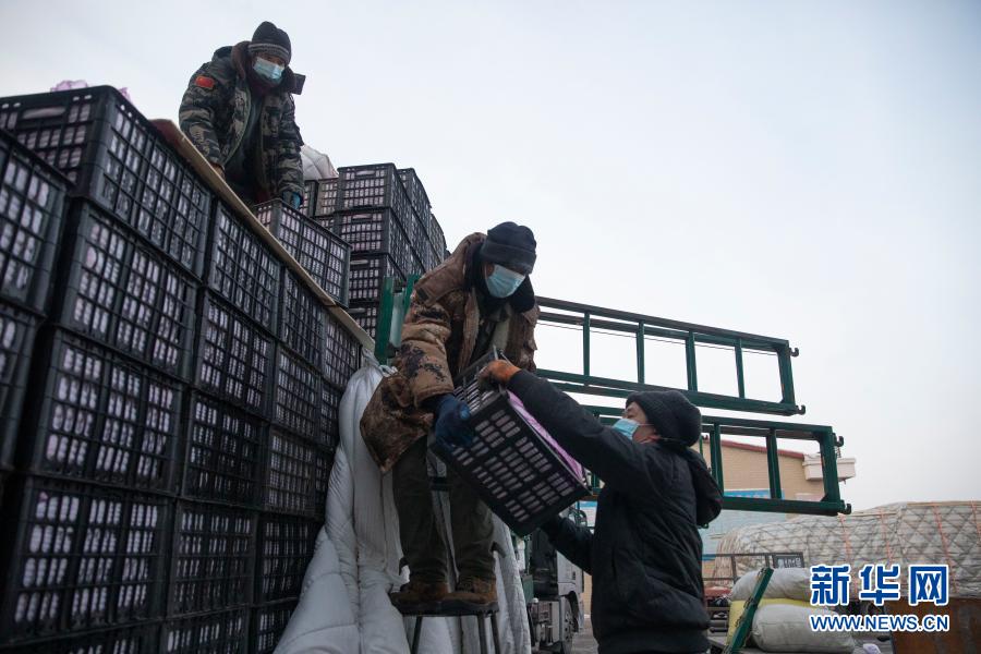 黑龍江綏化:果蔬供應充足穩定