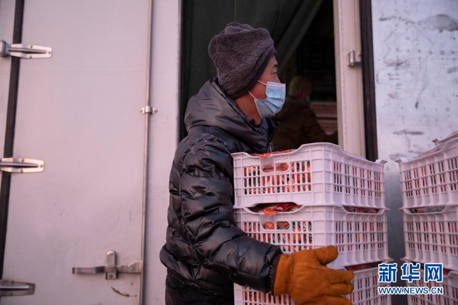 黑龍江綏化:果蔬供應充足穩定