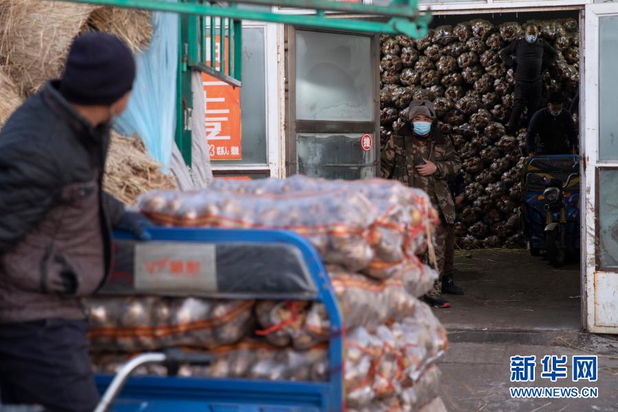 黑龍江綏化:果蔬供應充足穩定