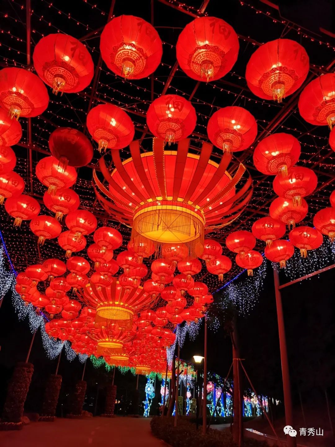 新场景、新玩法，来青秀山欣赏不一样的邕城夜景