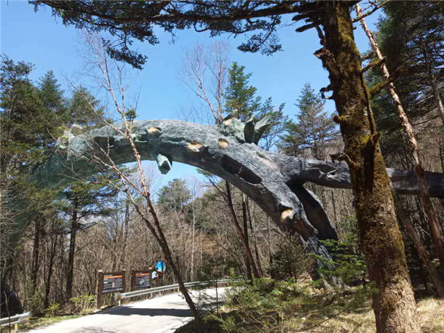 图片默认标题_fororder_WechatIMG4943