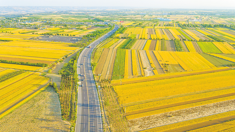 “農”墨重彩譜新篇——渭南市農業農村局2020年工作亮點回眸