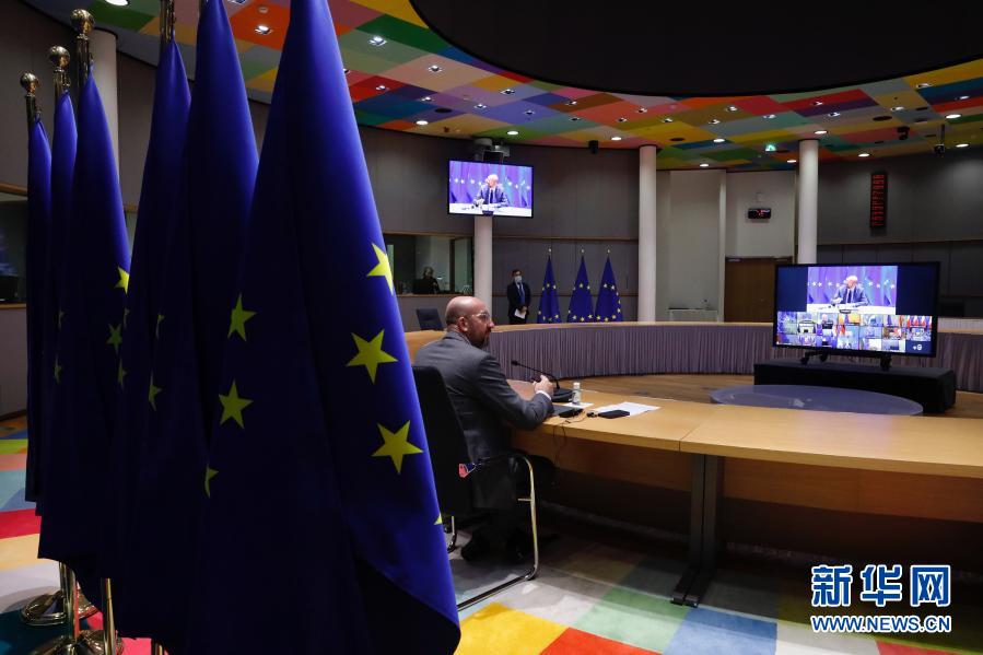 欧盟领导人举行视频会议 讨论新冠疫情