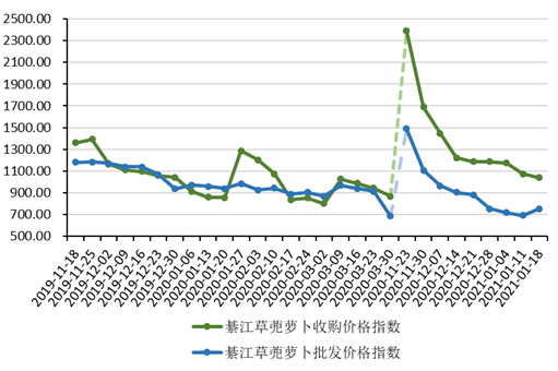 【B】重慶綦江草蔸蘿蔔價格走勢趨穩 受全國蔬菜普漲行情影響較小