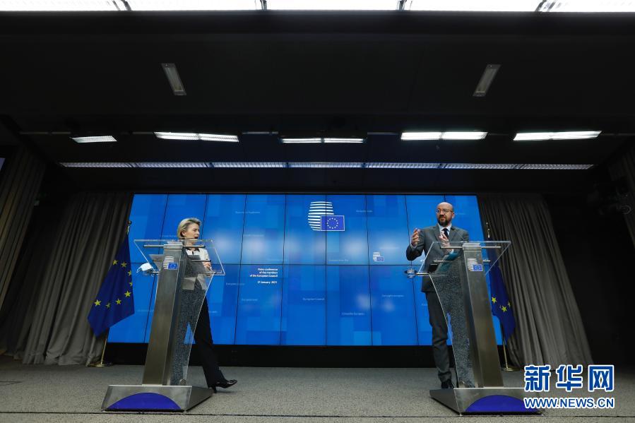 欧盟领导人举行视频会议 讨论新冠疫情