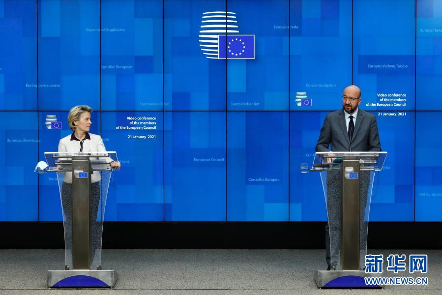 欧盟领导人举行视频会议 讨论新冠疫情