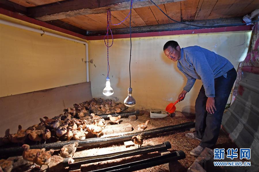 西藏边境村庄布巴的新生