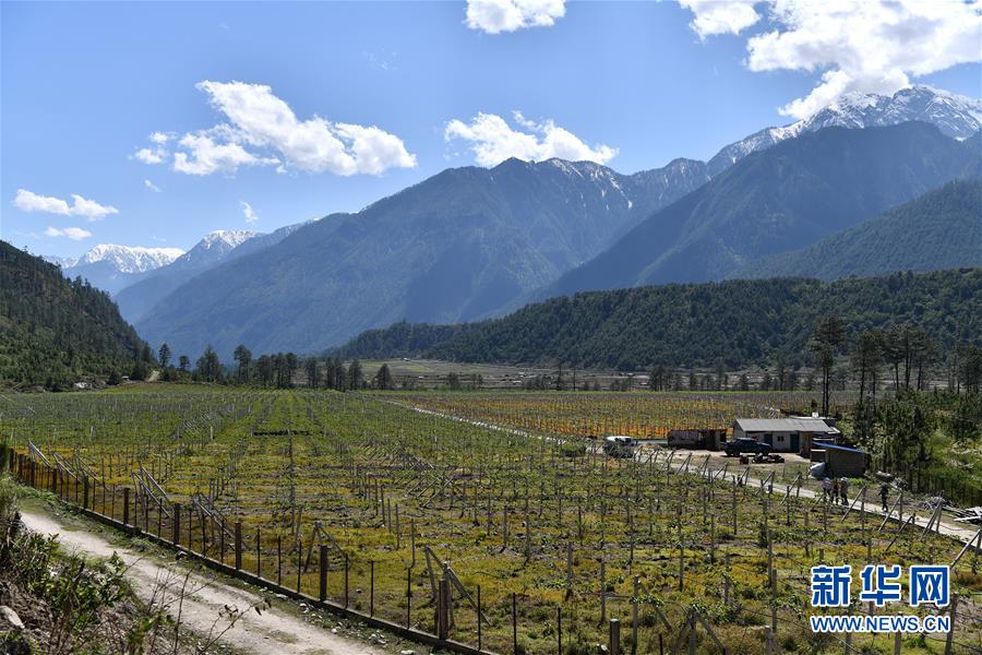 西藏边境村庄布巴的新生