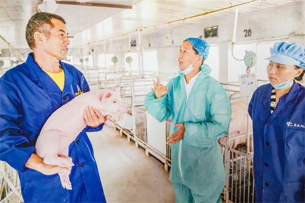 平潭“豬倌”走出創新致富路