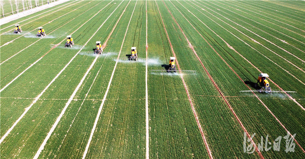 河北石家莊:現代農機助力春耕