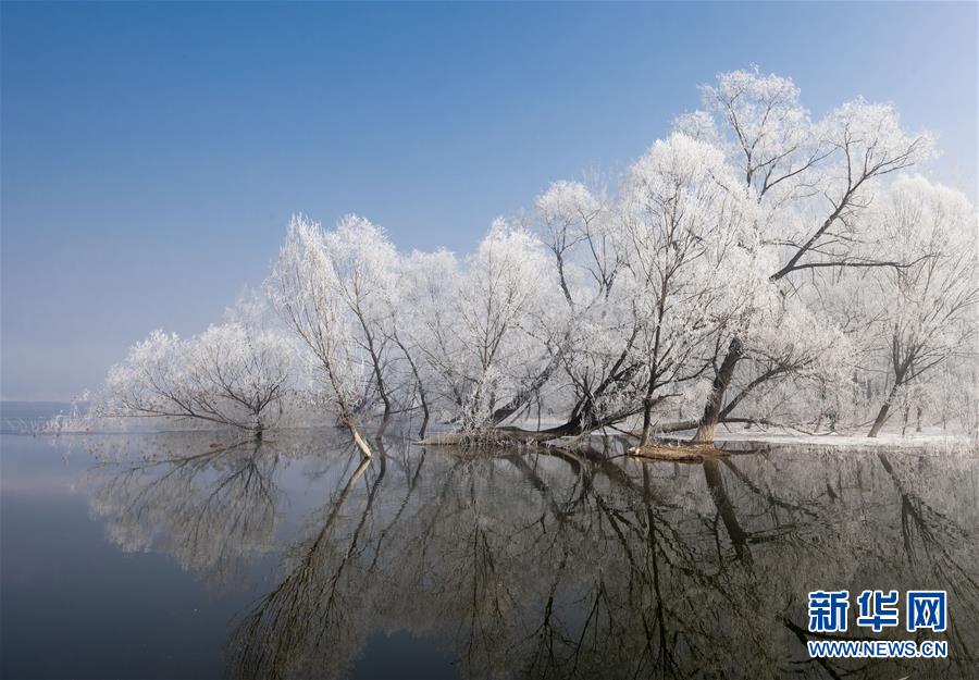 天津：霧凇美如畫