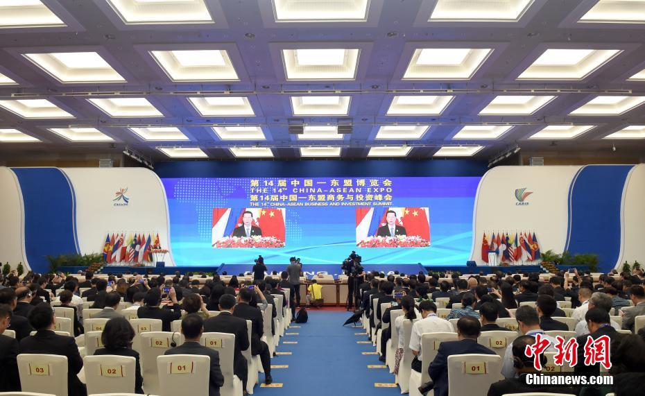 中国—东盟企业家冀借“一带一路”建设谋共赢发展