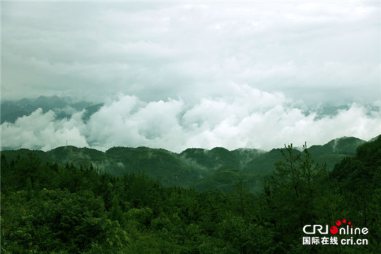 已过审【行游巴渝 图文】重庆巫山小三峡云顶景区惊现“奇观”