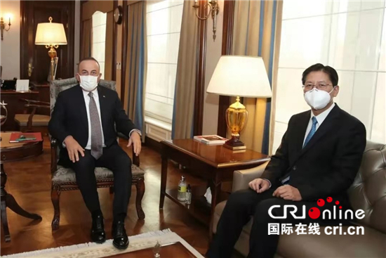 中国驻土耳其大使：2020年中土携手抗击疫情 2021年推动双边关系向前发展_fororder___172.100.100.3_temp_16_1_16_1_1_4f034a01-0acd-464f-a940-5286b15cc2d4