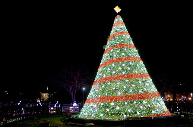 全球开启圣诞模式 各地广场圣诞树美轮美奂