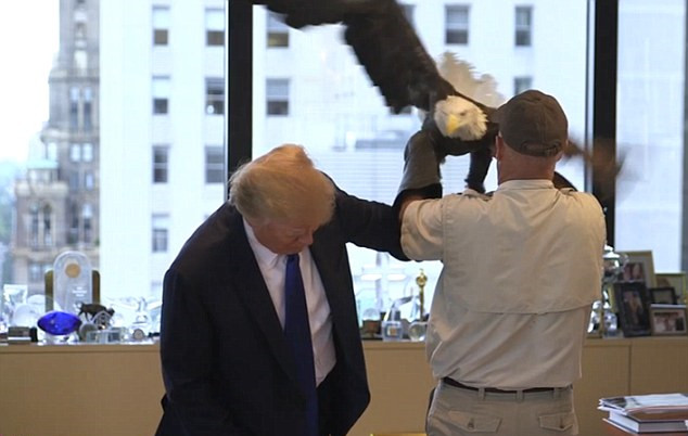 特朗普拍《时代》封面照被白头鹰攻击 狼狈不堪遭嘲笑
