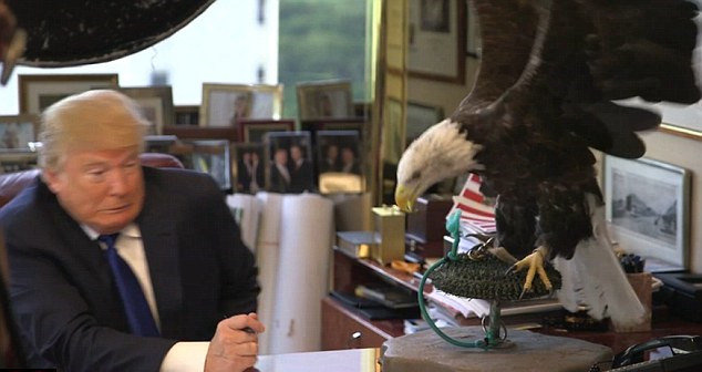 特朗普拍《时代》封面照被白头鹰攻击 狼狈不堪遭嘲笑