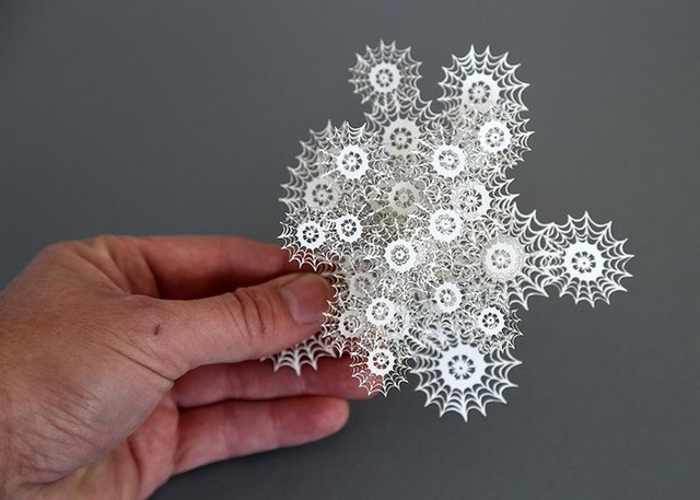 爱尔兰艺术家创作三维剪纸 灵感来自培养皿