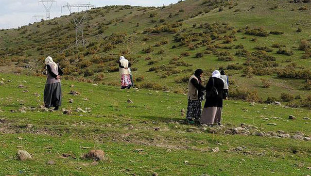土耳其村民卖陨石碎片暴富 1.3磅陨石价值42万人民币