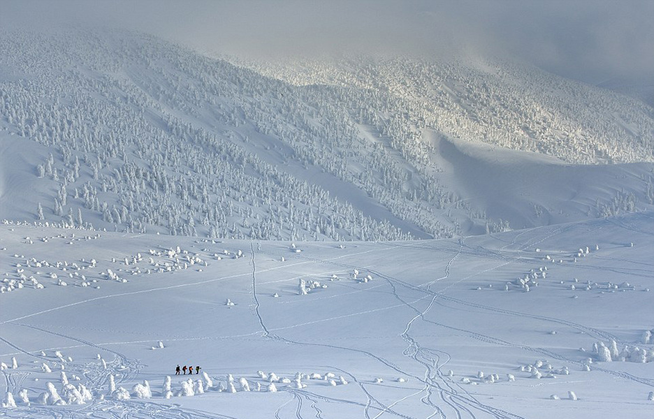 日本現(xiàn)“進(jìn)擊的雪山”美景，數(shù)千“雪人”山中行走。（網(wǎng)頁(yè)截圖）