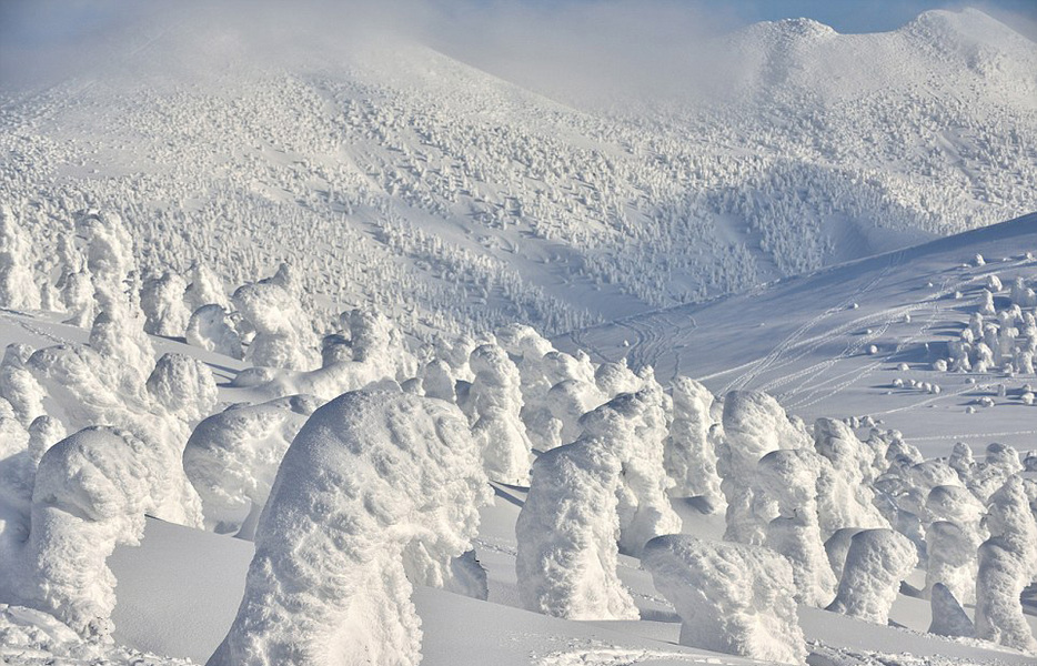 日本現(xiàn)“進(jìn)擊的雪山”美景，數(shù)千“雪人”山中行走。（網(wǎng)頁(yè)截圖）