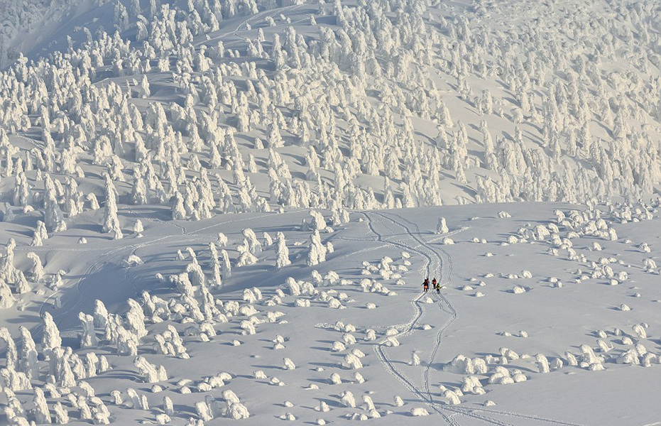 日本現(xiàn)“進擊的雪山”美景，數(shù)千“雪人”山中行走。（網(wǎng)頁截圖）