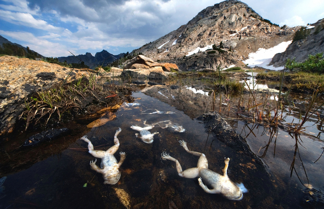 地球之殇：超震撼图片透视环境污染