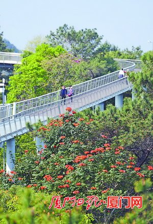 厦门荣获国家生态园林城市称号 为市民创造更多绿色生态福利