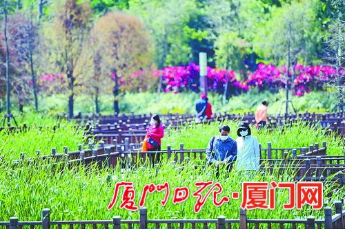 厦门荣获国家生态园林城市称号 为市民创造更多绿色生态福利