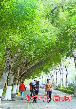 厦门荣获国家生态园林城市称号 为市民创造更多绿色生态福利