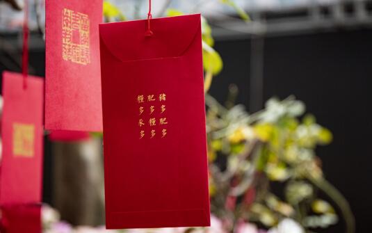 百人排队“撸猪”，网易味央用一场“猪年大趴”喜迎新年