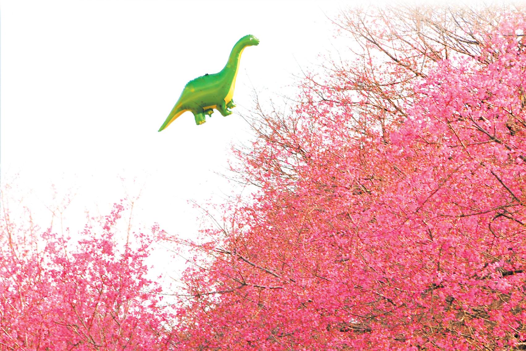 繁花美似锦 春色正迷人