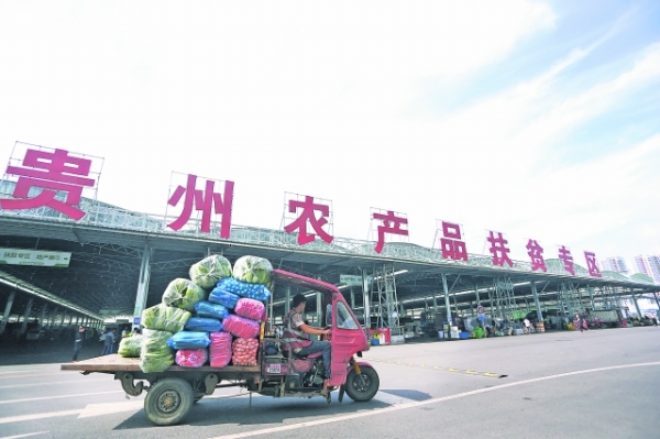 （中首）貴陽全力推動鄉村振興 加快推進農業農村現代化