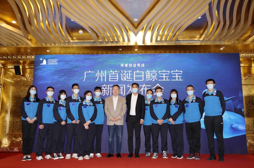 广州首次成功繁育小白鲸_fororder_微信图片_20210128172437