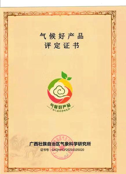 南宁首次评定农产品“气候好产品” 武鸣一公司沃柑评为“特优”等级