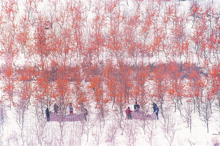 穆棱 走出县域经济高质量发展特色之路