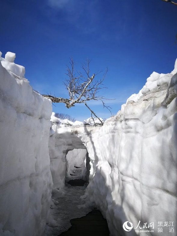 鳳凰山建成100米長的冰雪隧道 五月可玩雪
