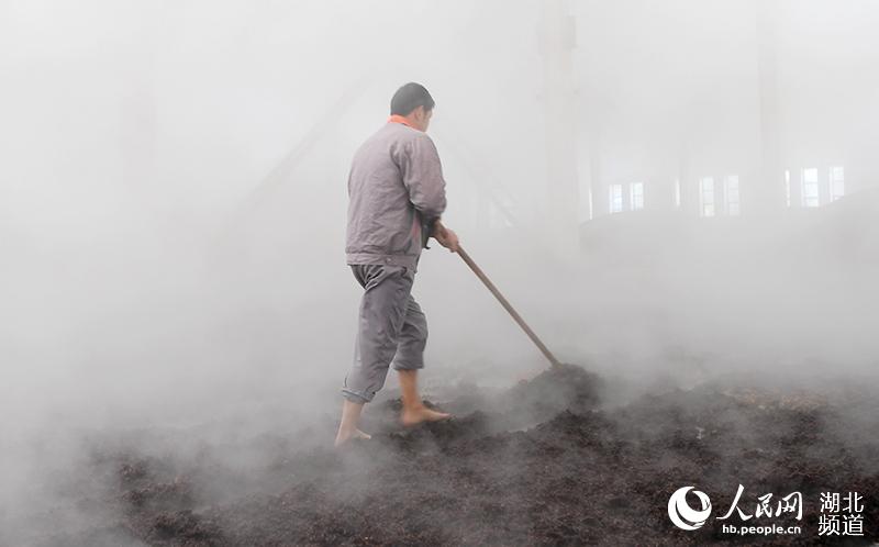 湖北保康：寒冬腊月酿酒忙
