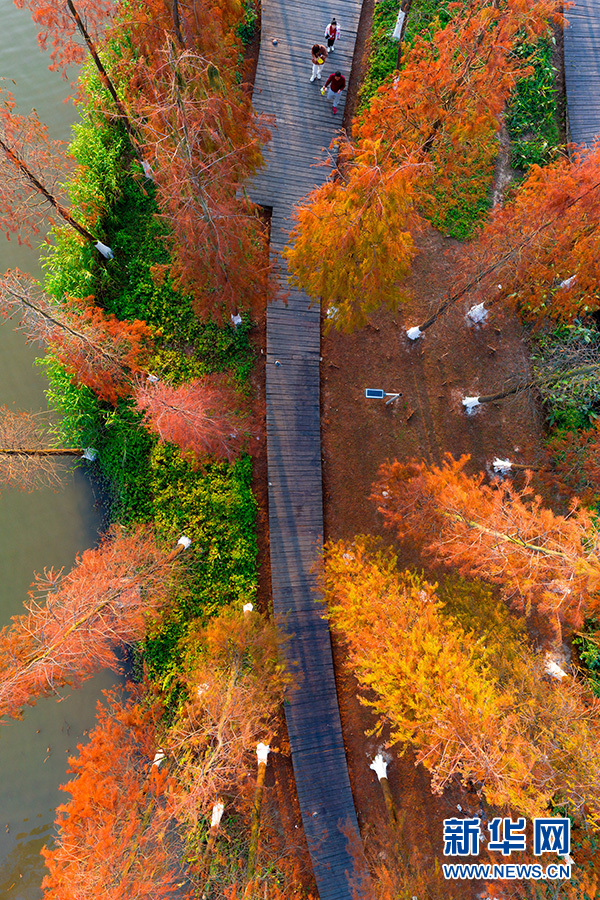 겨울철 채색단장을 한 白石湖_fororder_Q4