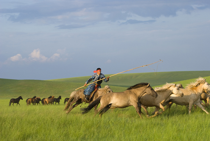 图片默认标题_fororder_蒙古族-6