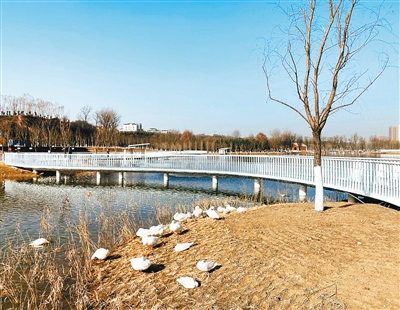 長安城市公園二期春節前將開放