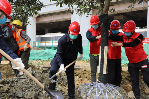 中建三局疫情期间让绿色与春天约会