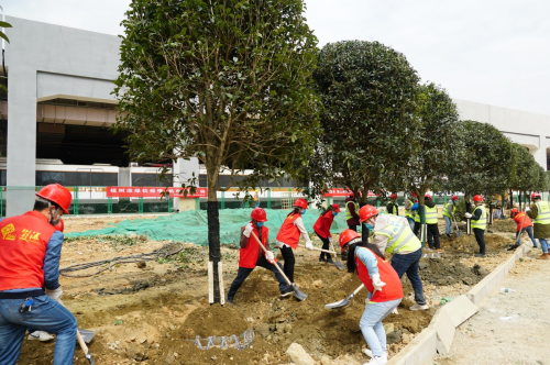 中建三局疫情期间让绿色与春天约会