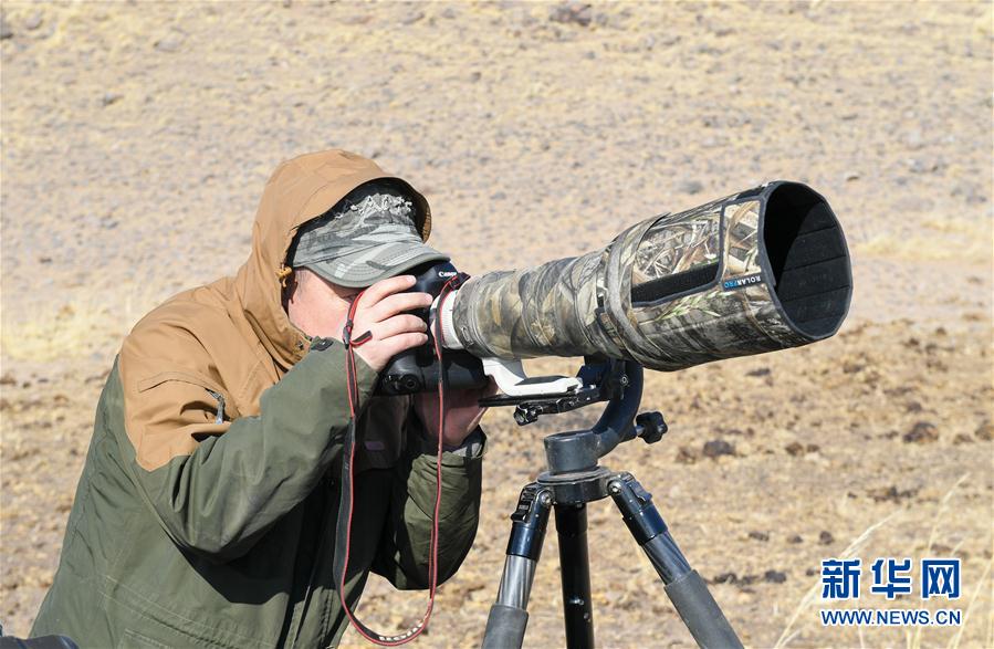 内蒙古：呼伦湖畔的野生动物守护者